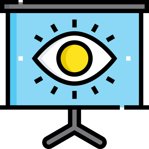 Vision
